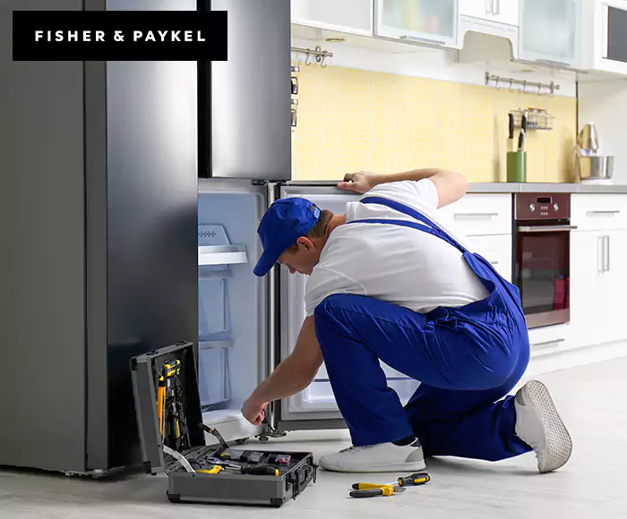 Top-Rated Fisher & Paykel Appliance Experts: Your Brand Specialist in Southaven, MS