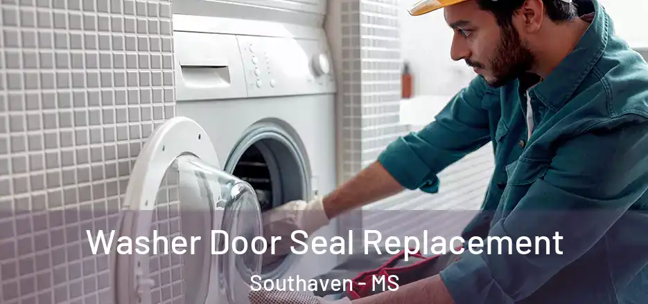 Washer Door Seal Replacement Southaven - MS